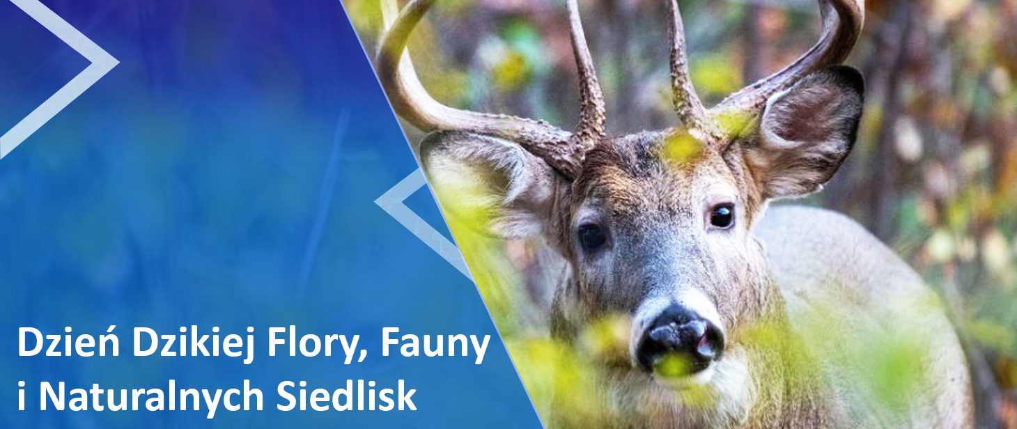 Dzień Dzikiej Flory, Fauny i Naturalnych Siedlisk
