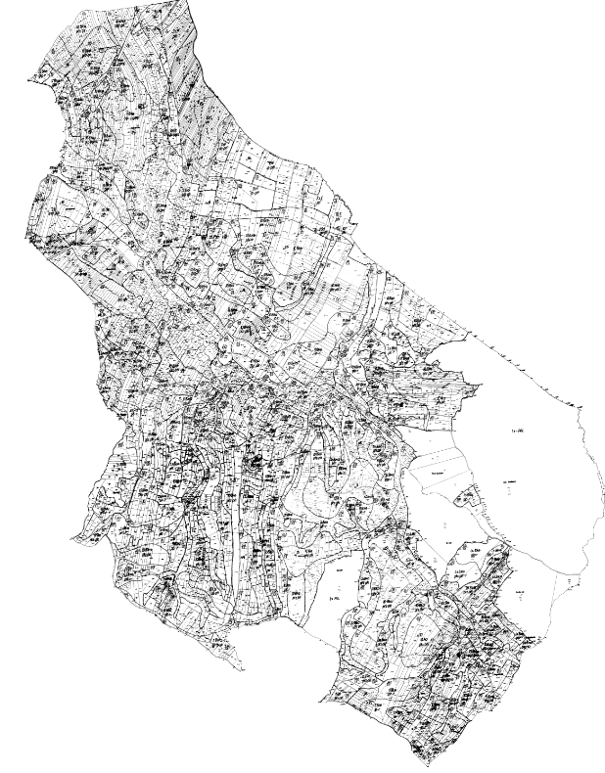 Rysunek 32. Mapa glebowo-rolnicza w postaci rastrowej